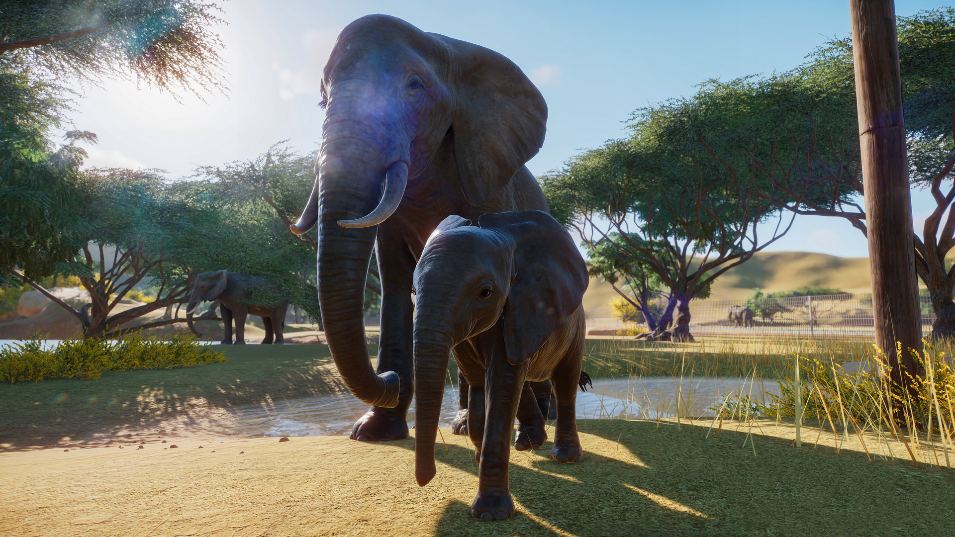 Illustration de l'article sur Bande-annonce dePlanet Zoo sur PC
